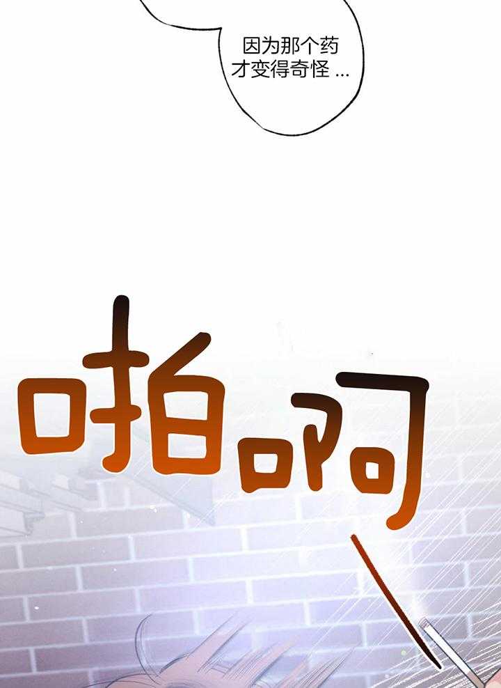 第116话11