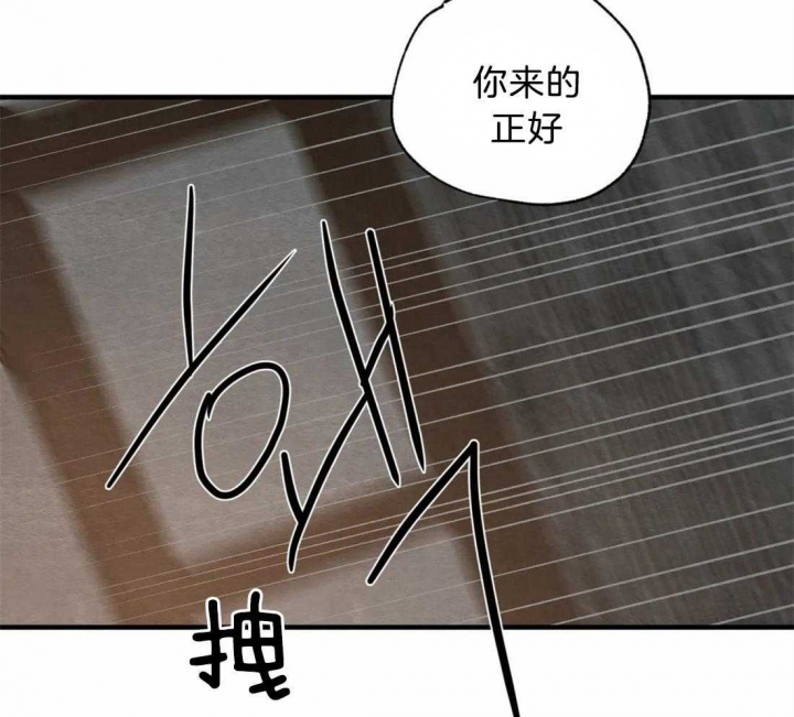 第180话31