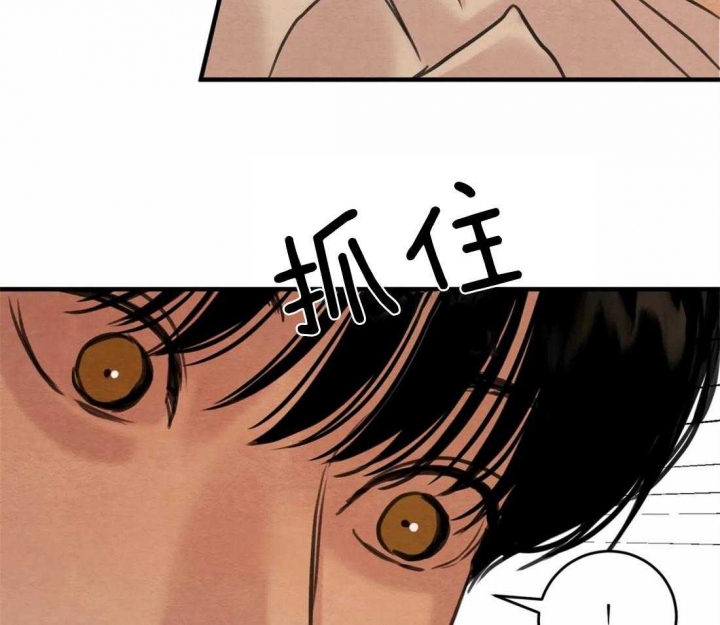 第166话17