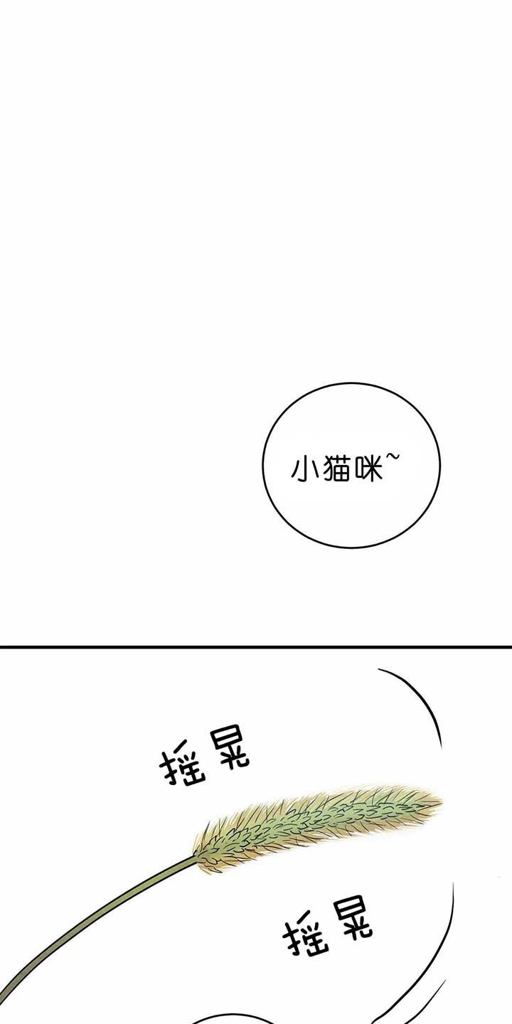 第112话3