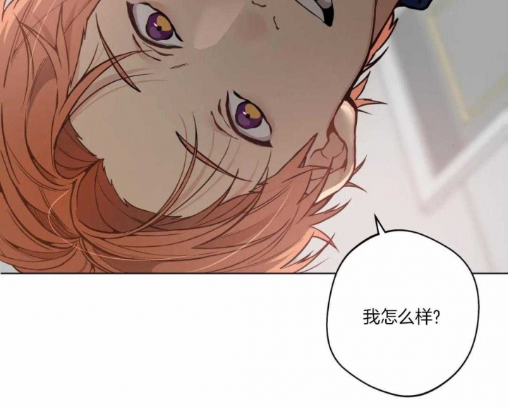 第52话3
