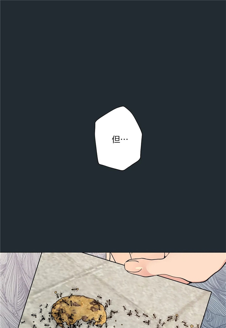 第26话12