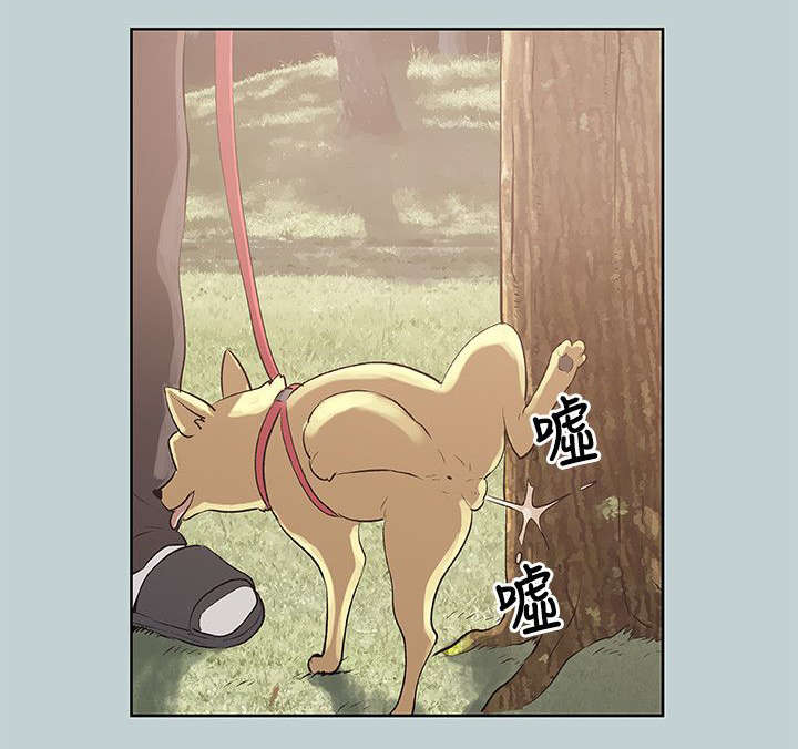 第68章：欺骗4