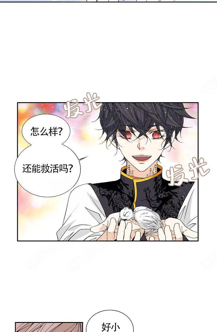 第11话11