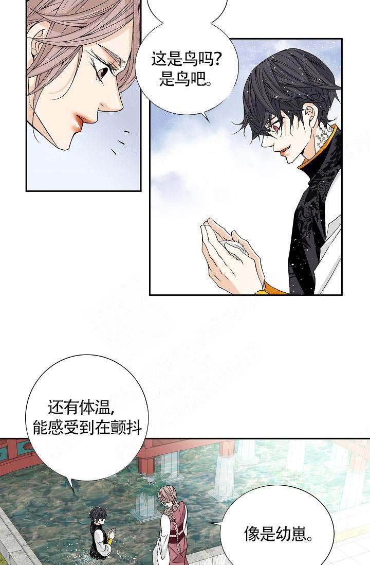 第11话12