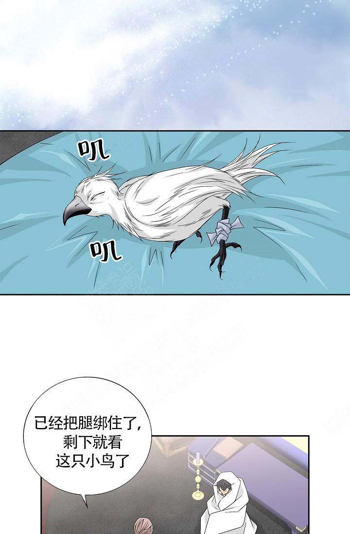 第12话6