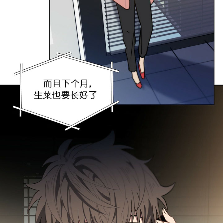 第17话12