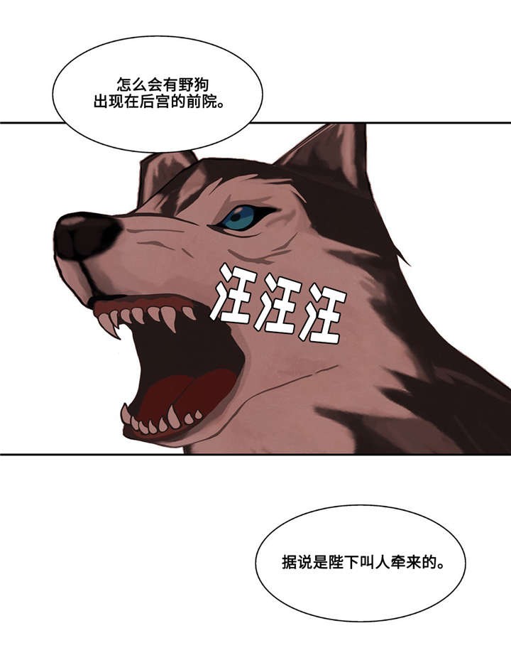 第41话19