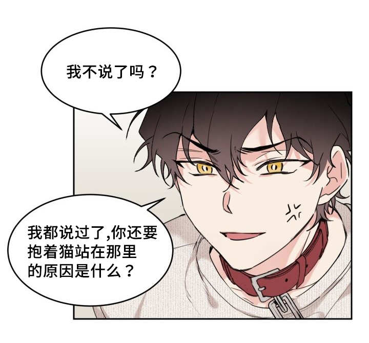 第28话19