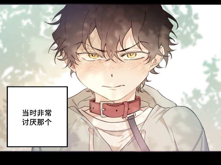 第47话11