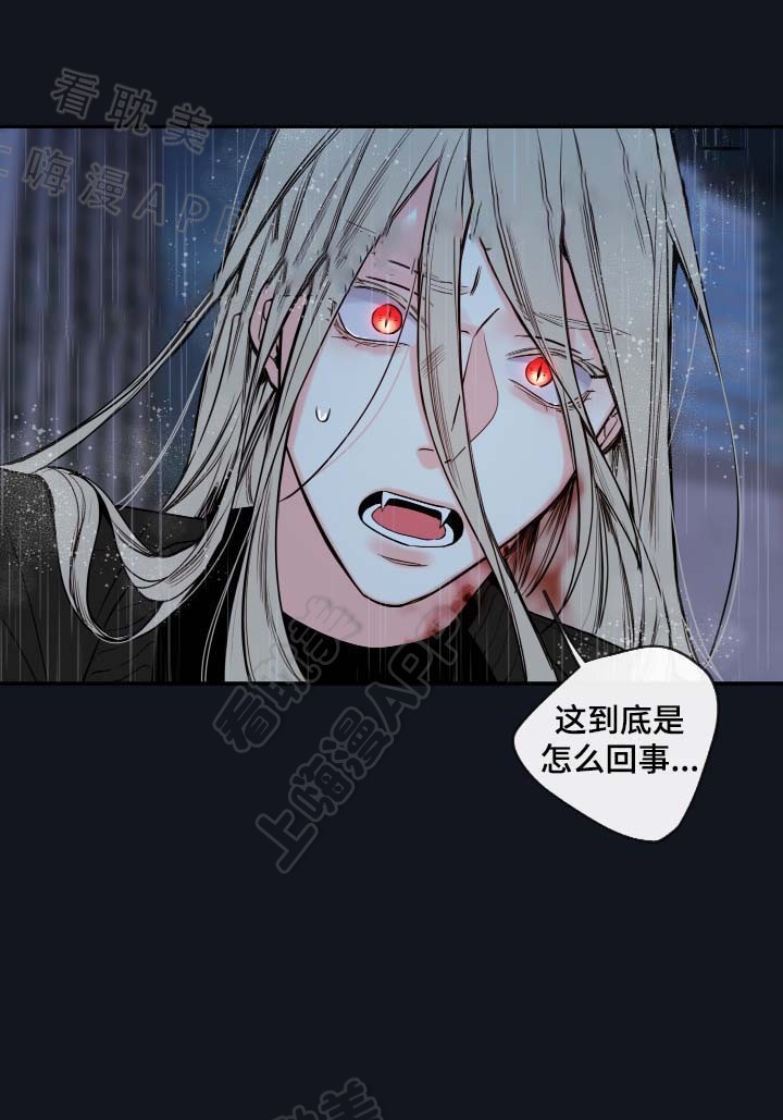 第54话31