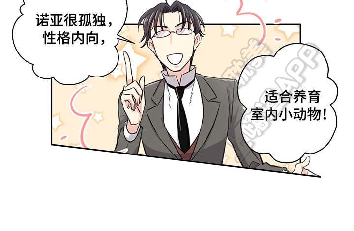 第13话1