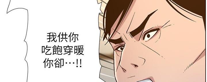 第204话41