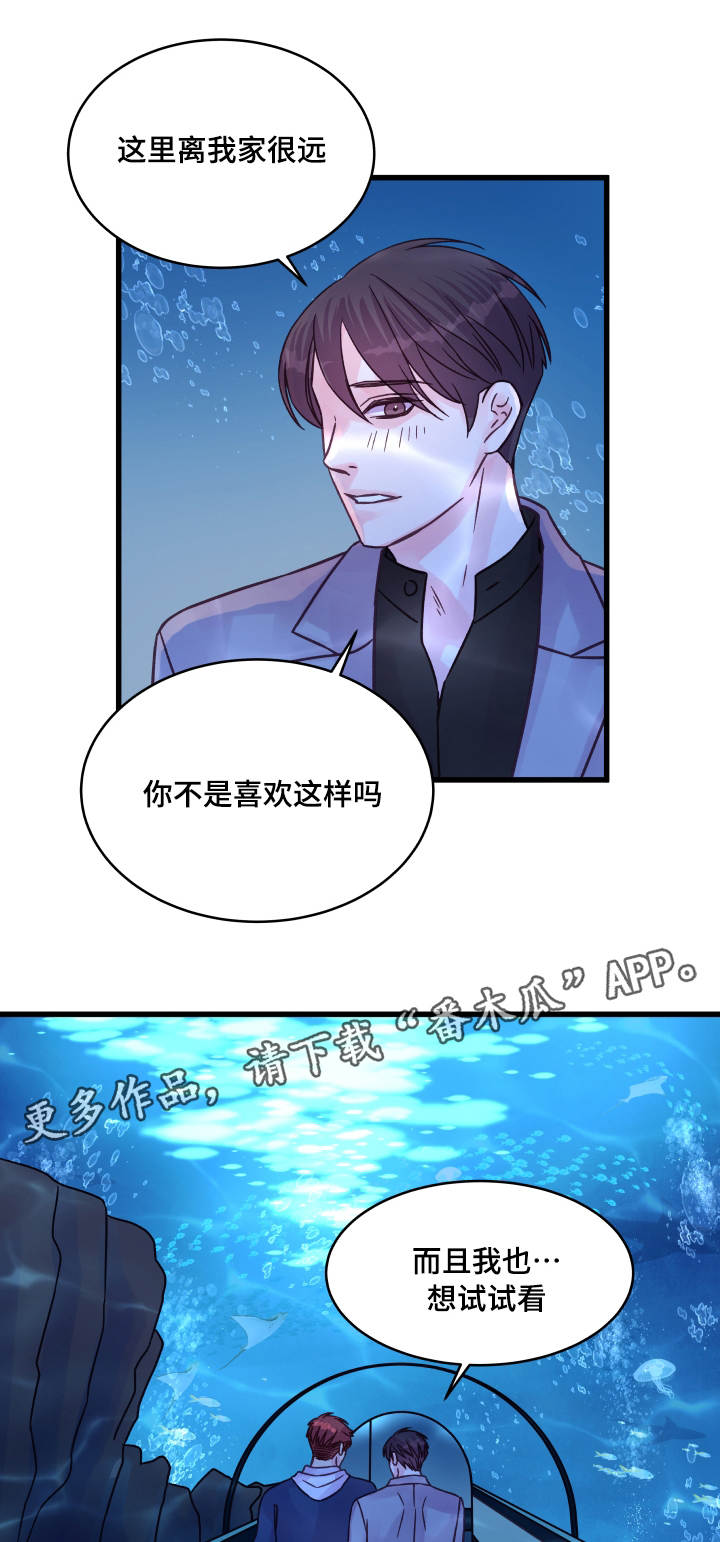 第68章：企鹅1