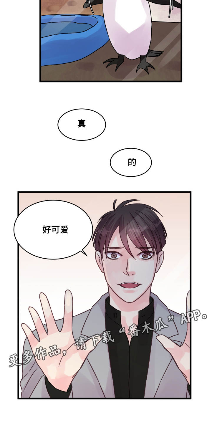 第68章：企鹅5