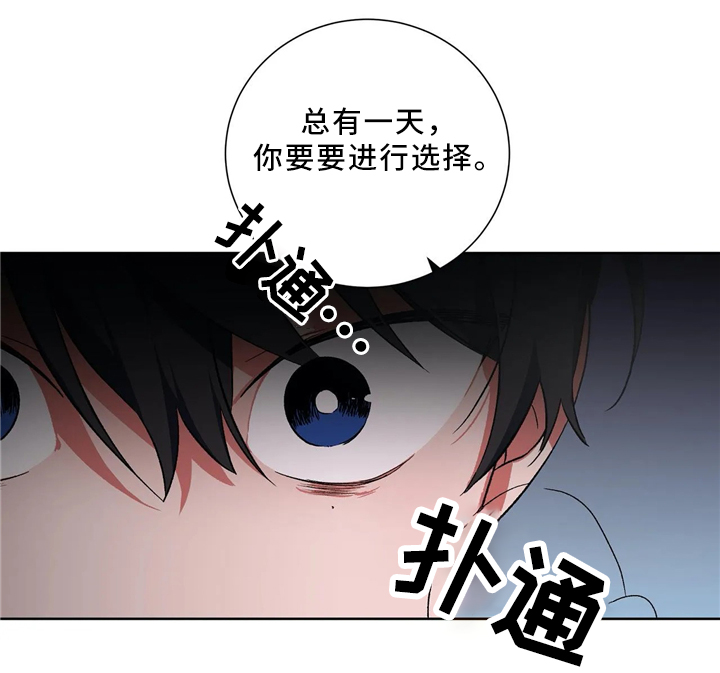 第46章：终要选择14