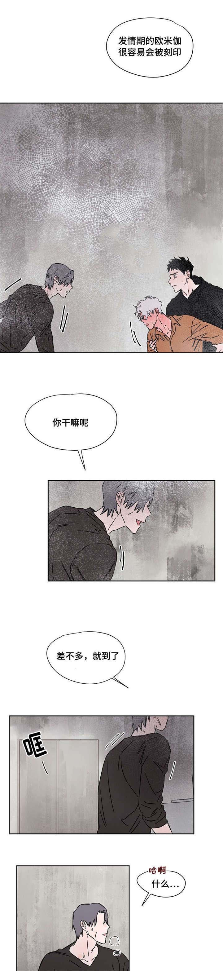 第51章：警察2