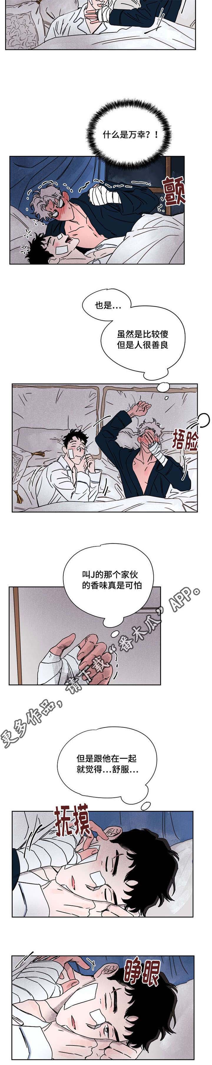 第53章：万幸1