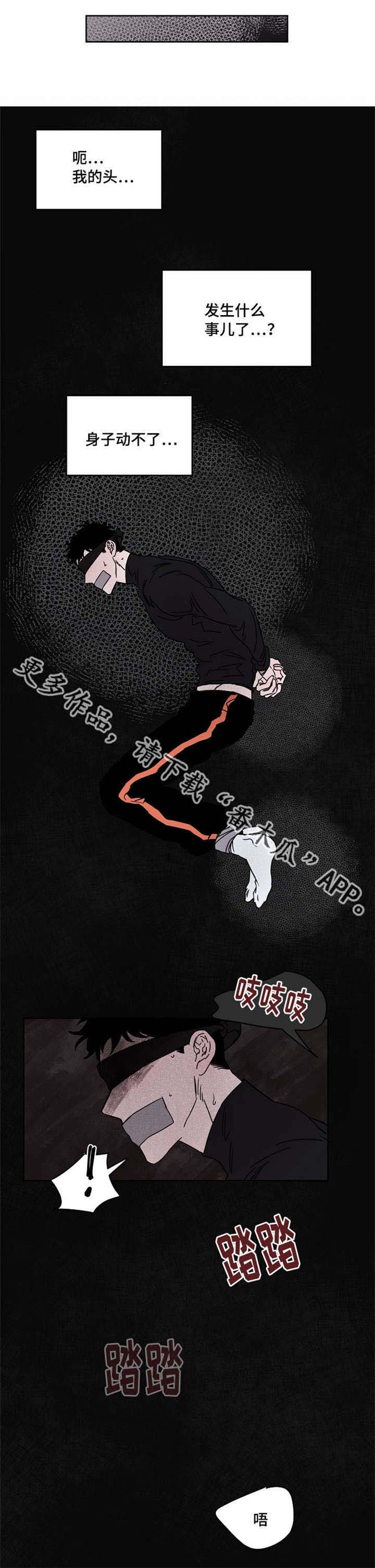 第54章：一周都在这2