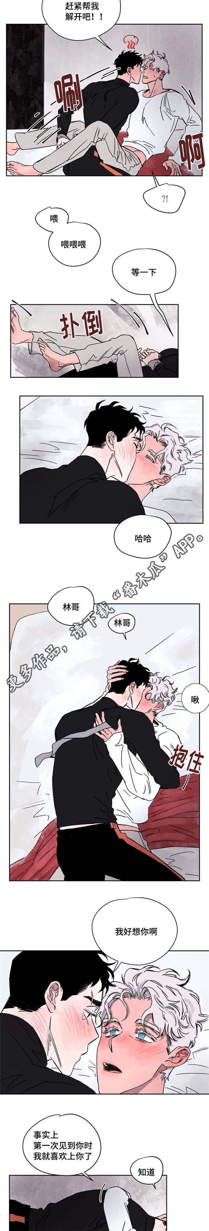 第55章：喜欢你1
