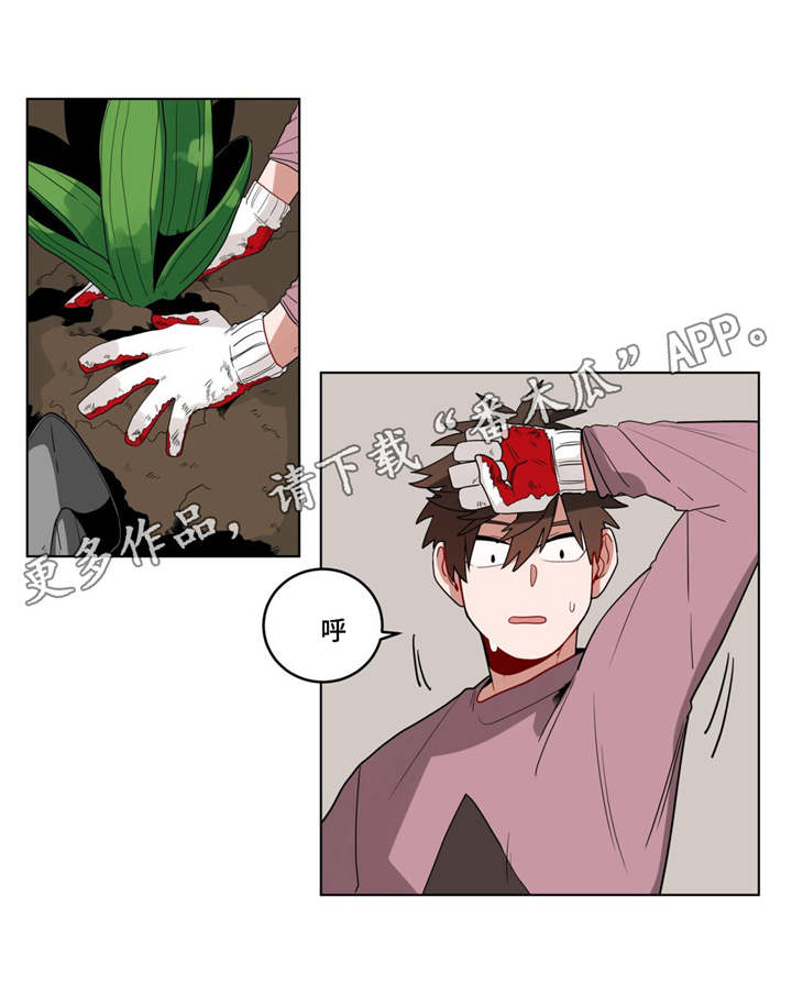 第17章：逃跑4