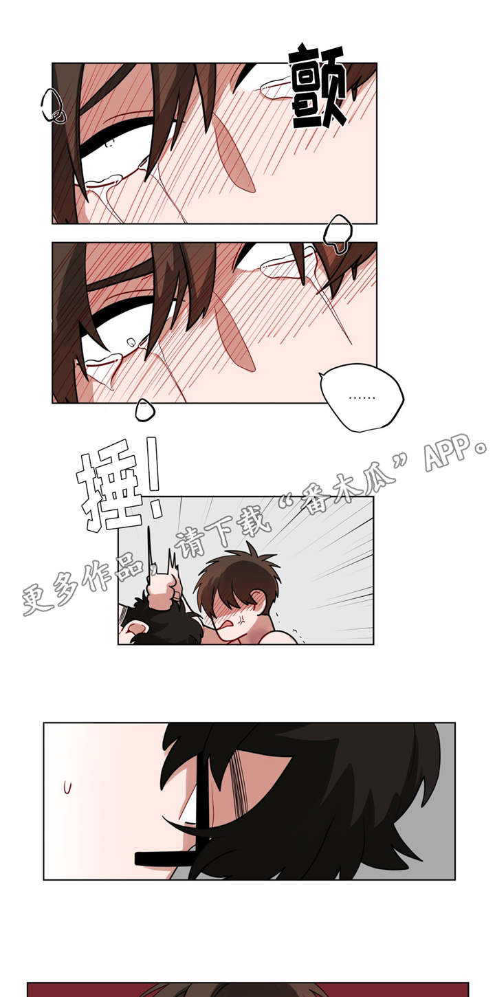 第49章：自找的6