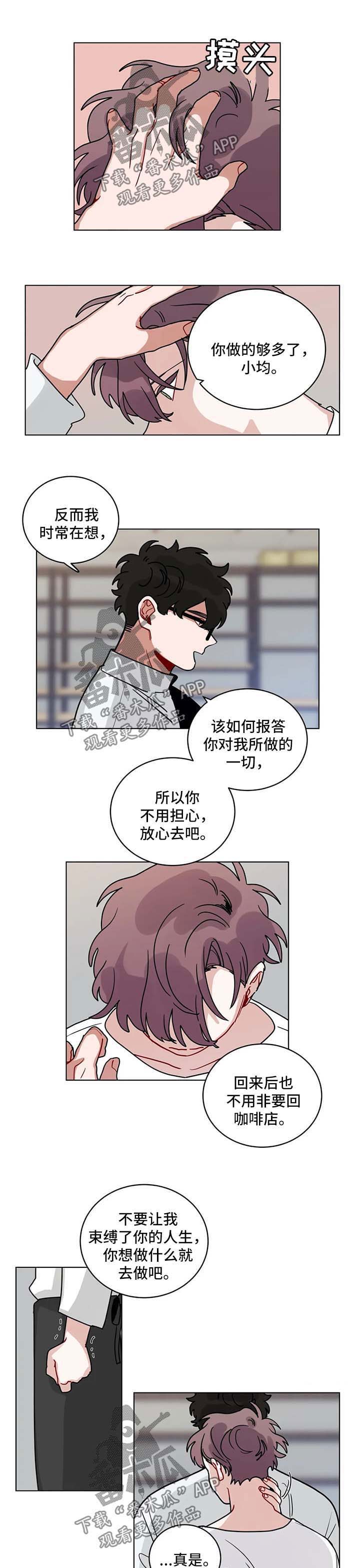 第152章：有规律3