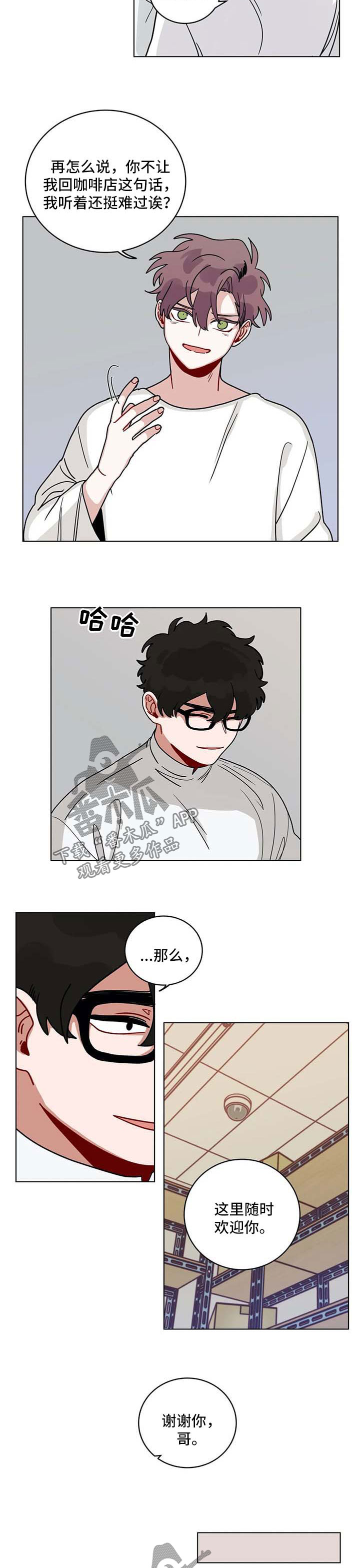 第152章：有规律4