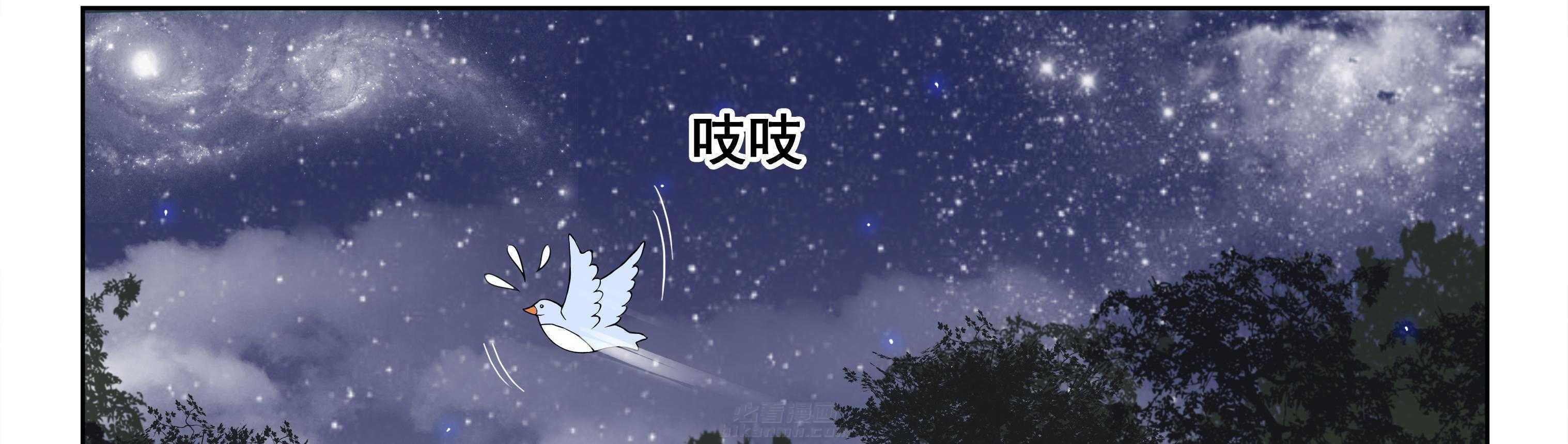 第54章：7