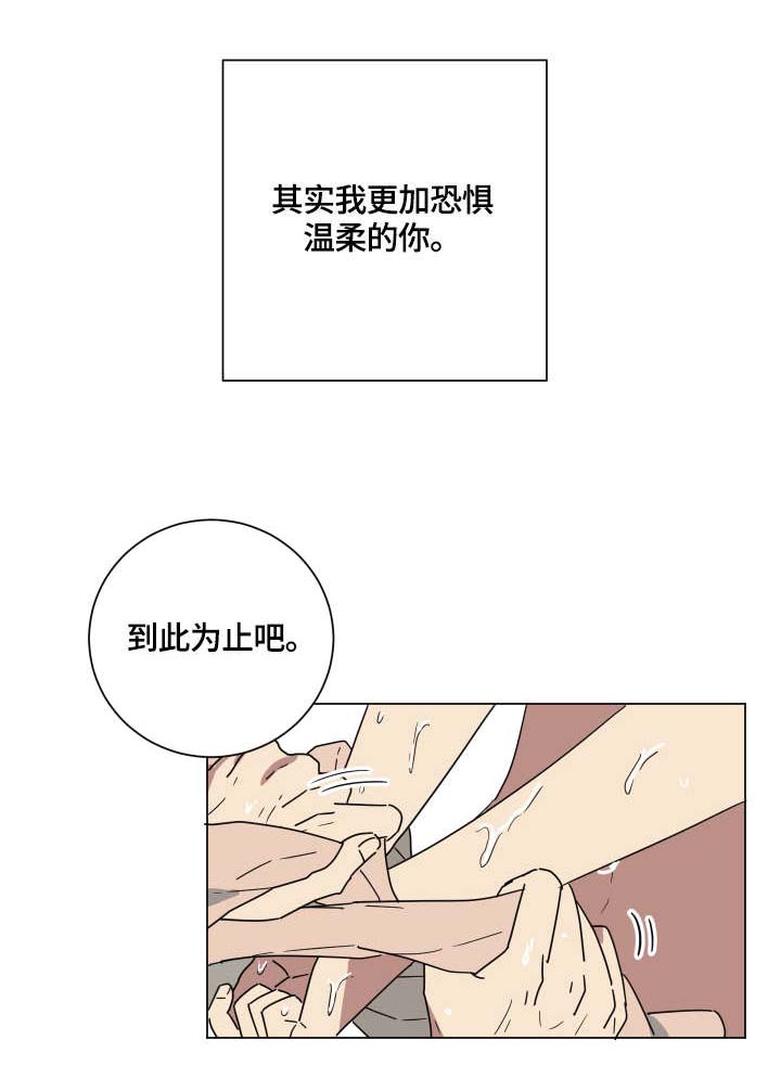 第15章：爱13