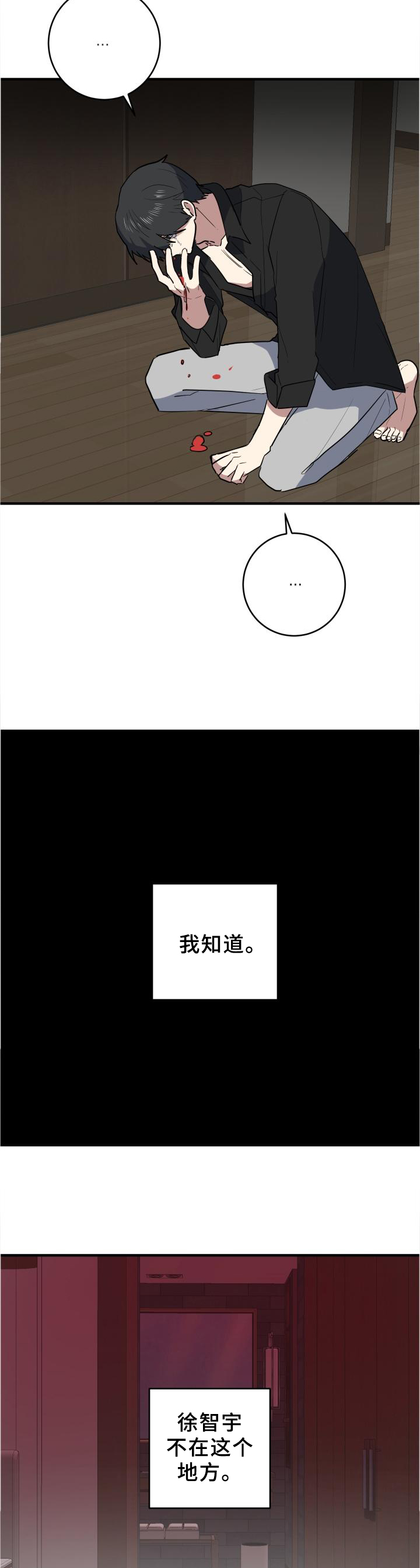 第106章：幻像9
