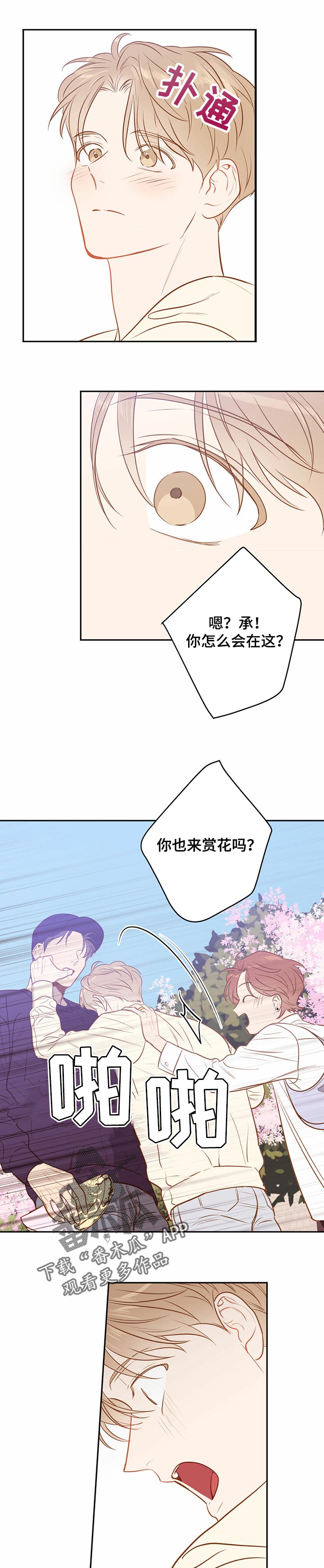 第76章：【番外】赏花4