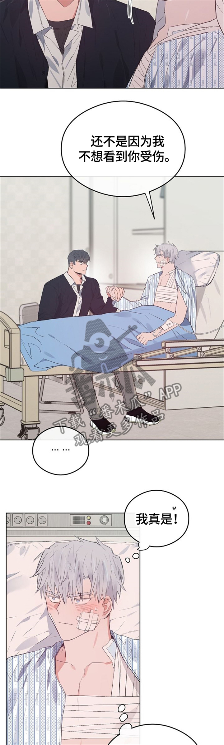 第63章：我喜欢你5