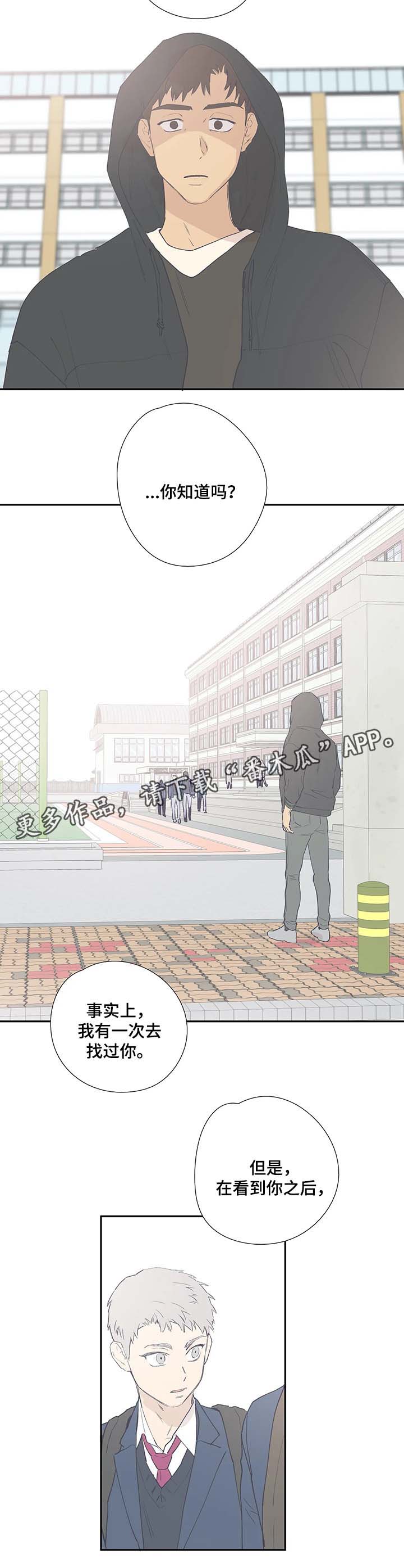 第40章：我要去找他6