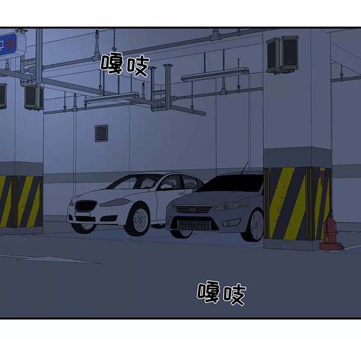 第28章：看雪10
