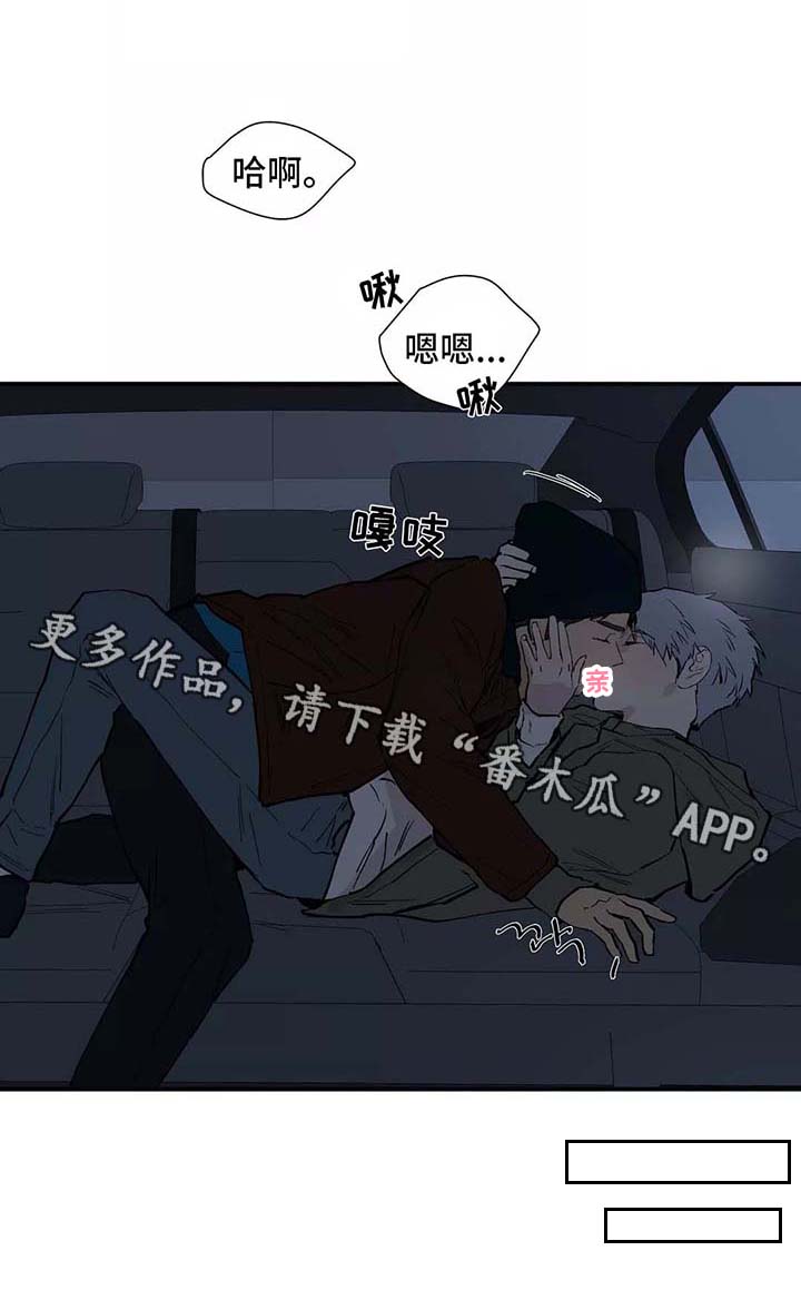 第28章：看雪9