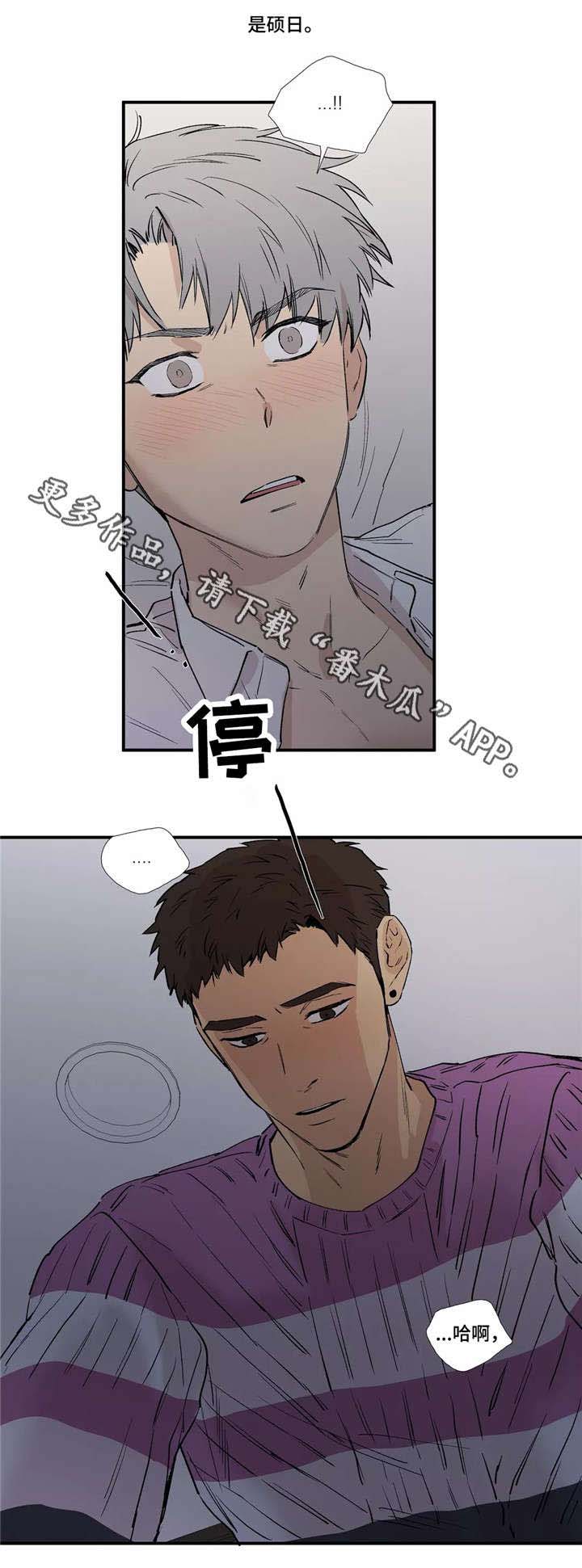 第17章：不要折磨我5