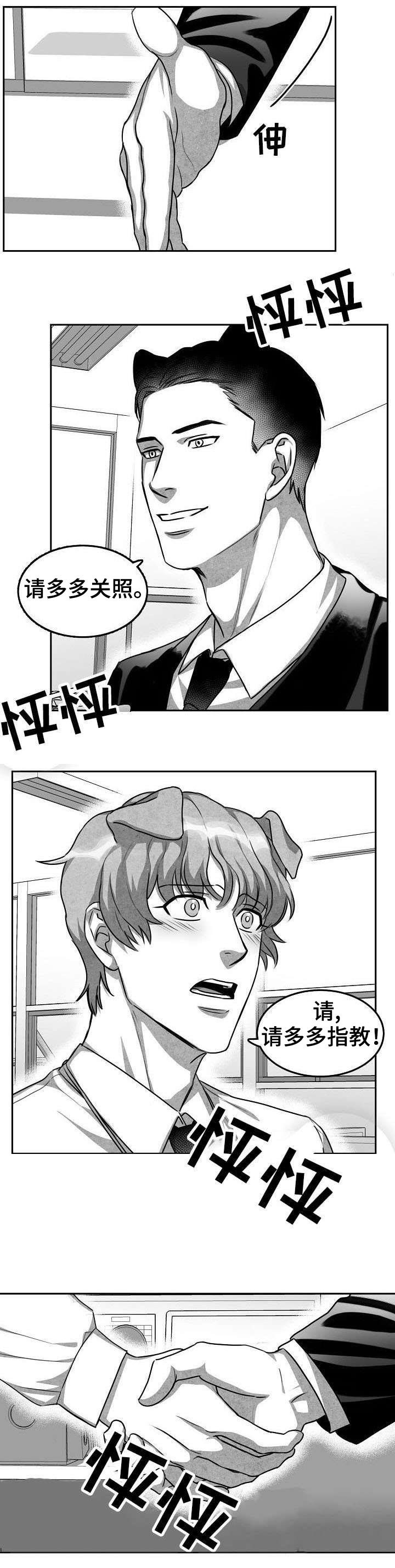 第2章：多多指教5