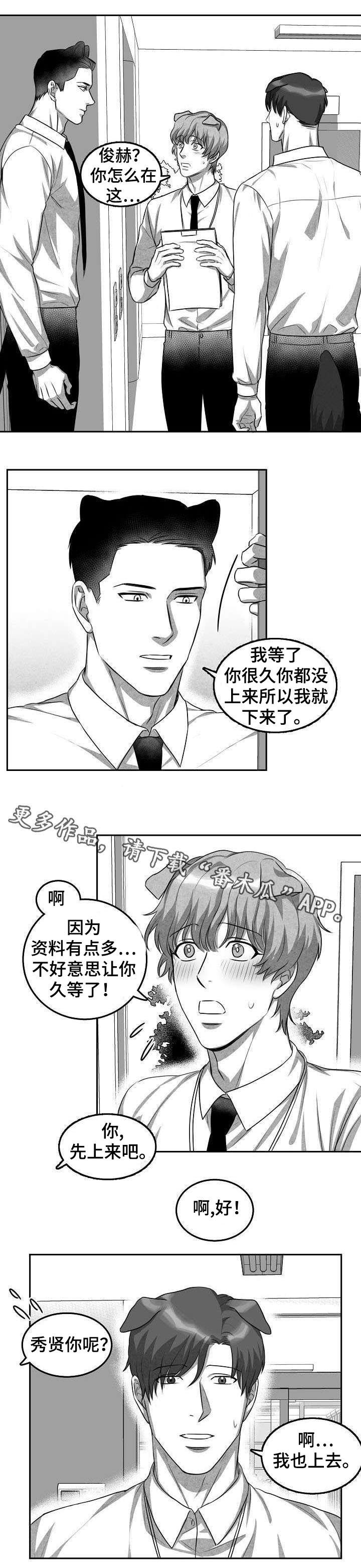 第3章：猫科同事2