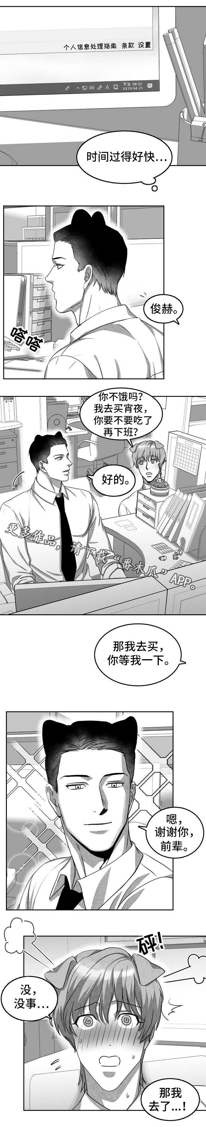 第3章：猫科同事6