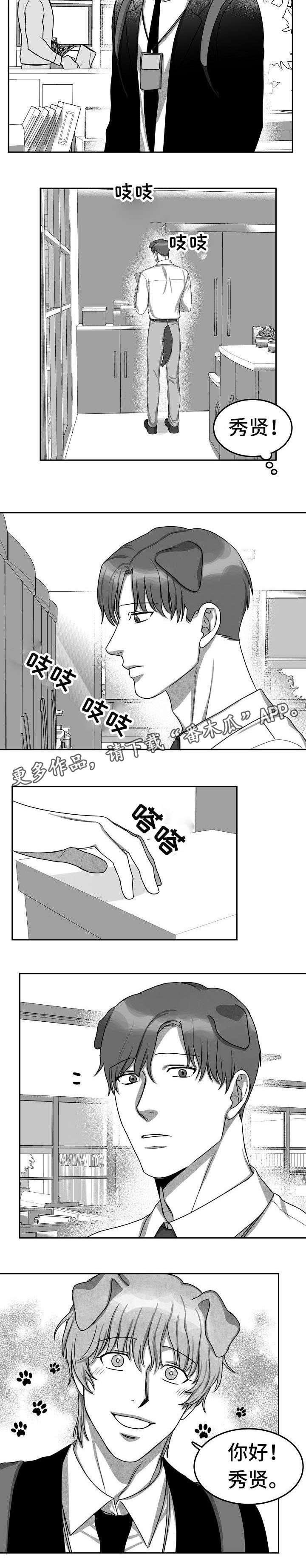 第13章：现在做吧1