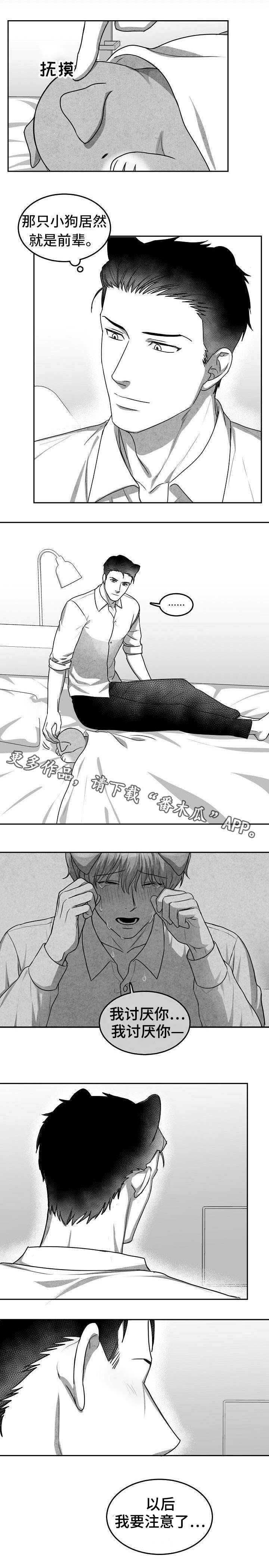 第17章：似曾相识5