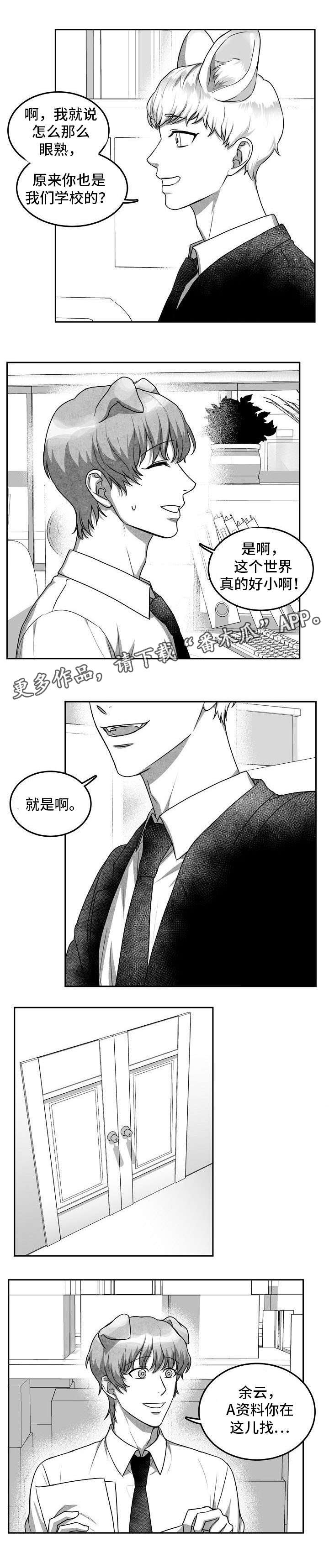 第19章：照片1