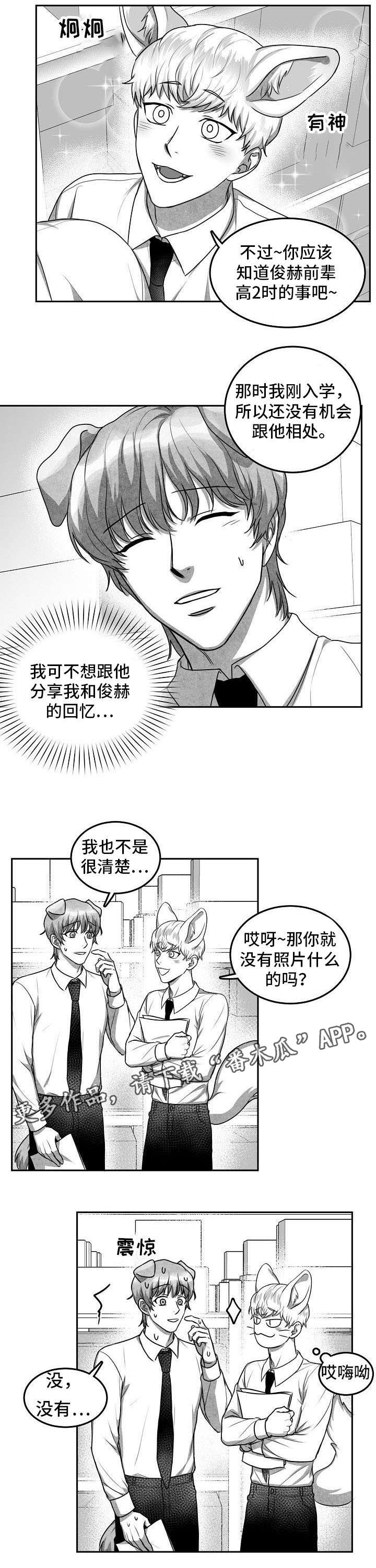 第19章：照片3