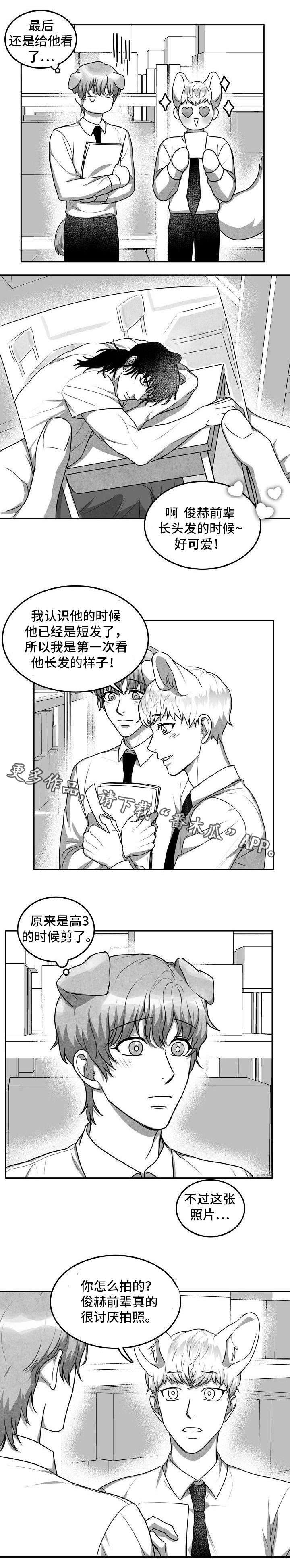 第19章：照片5