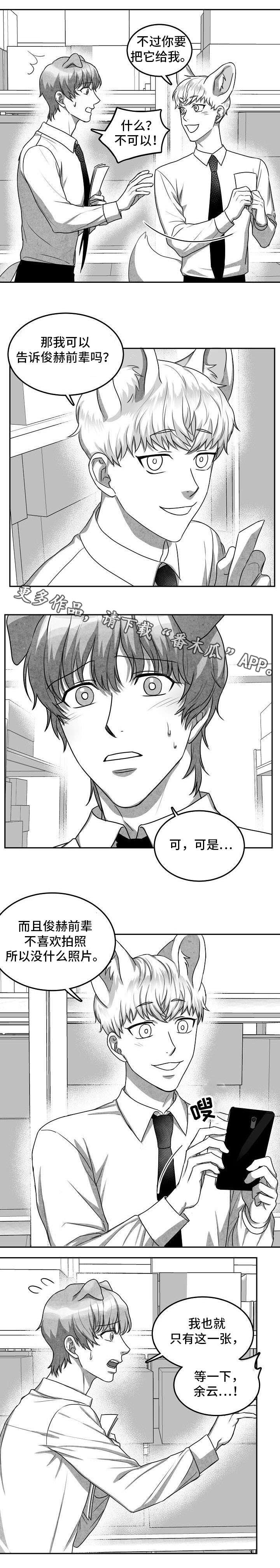 第19章：照片7