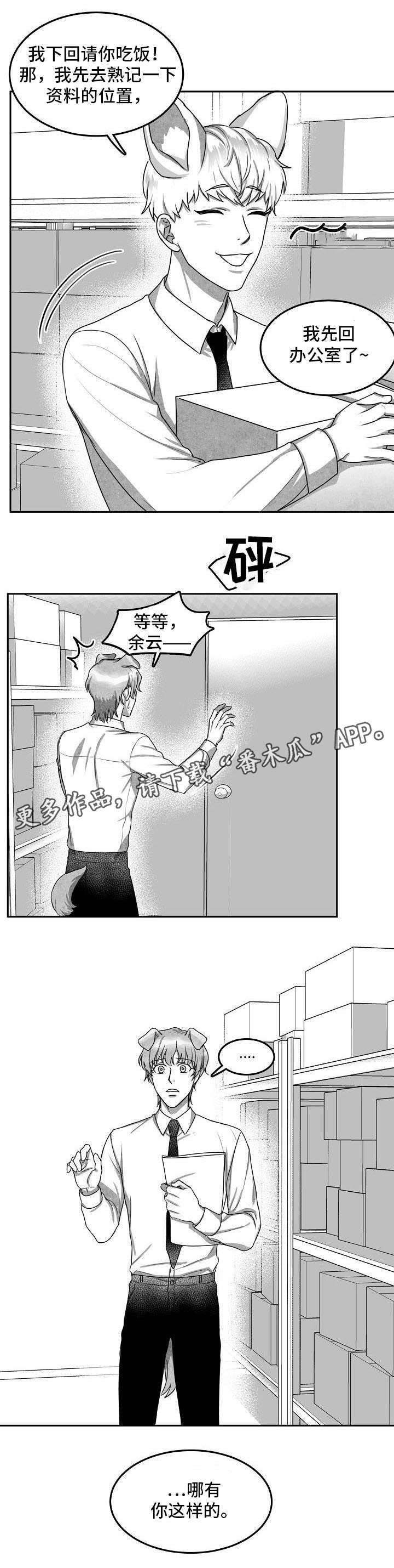 第19章：照片8