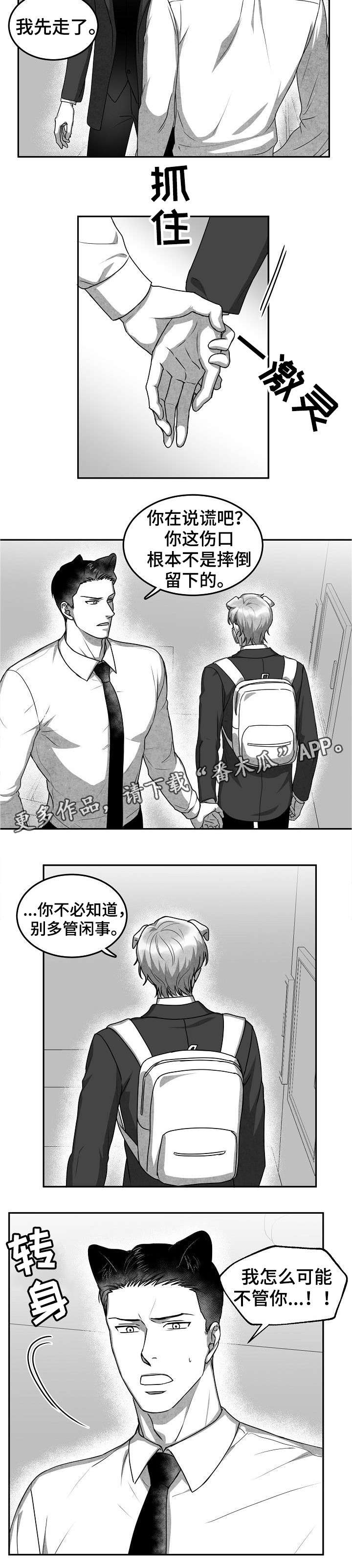 第31章：对不起1