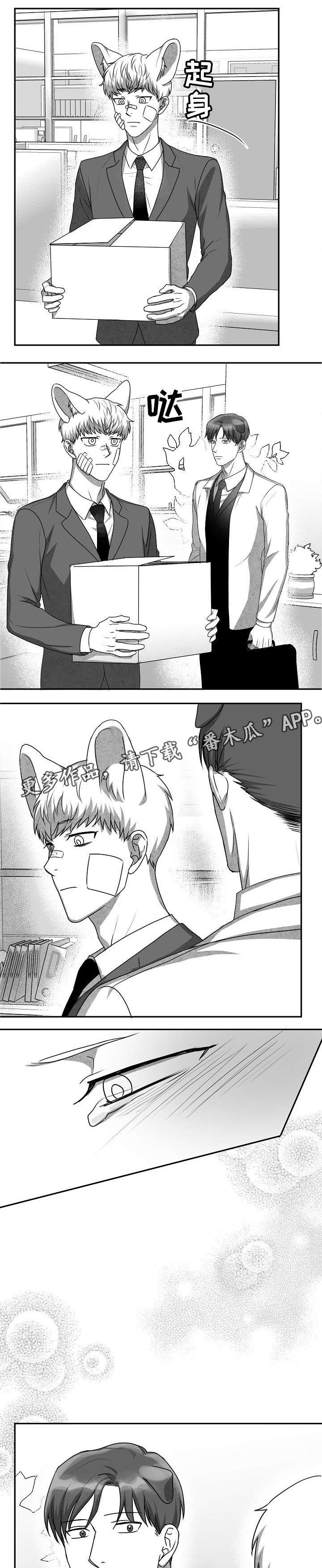 第32章：送你下楼6
