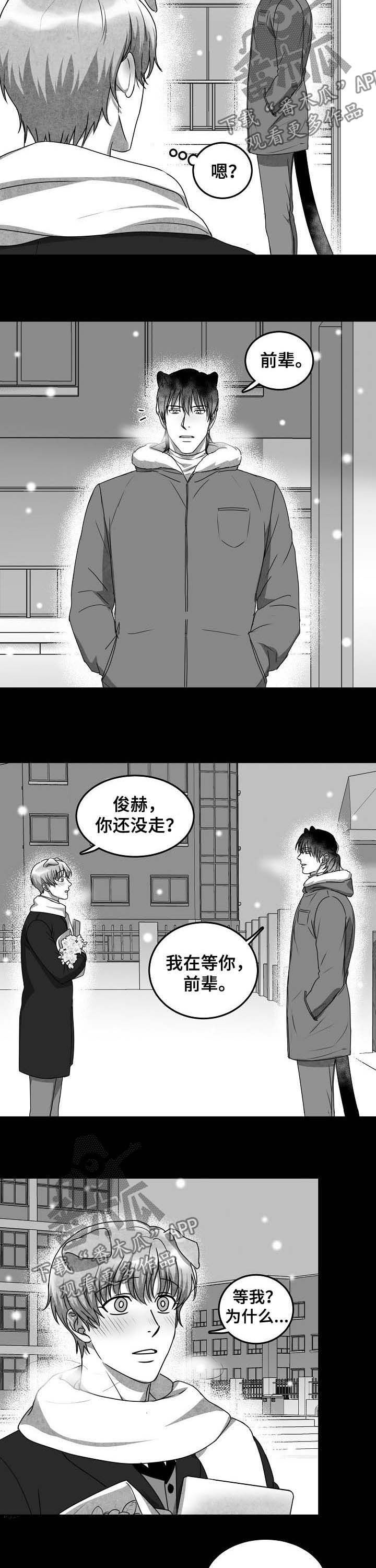 第37章：没有勇气2